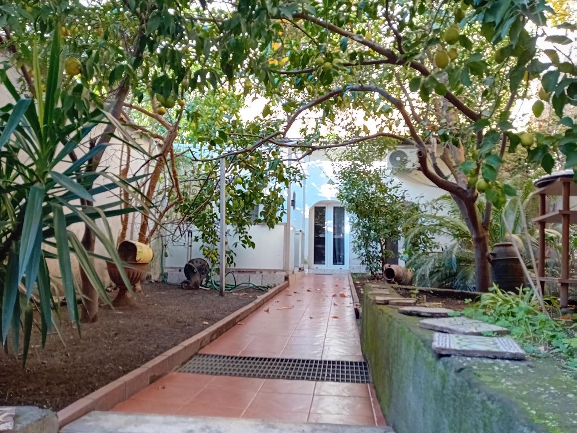 Villa Sofia E Sveva ナポリ 部屋 写真